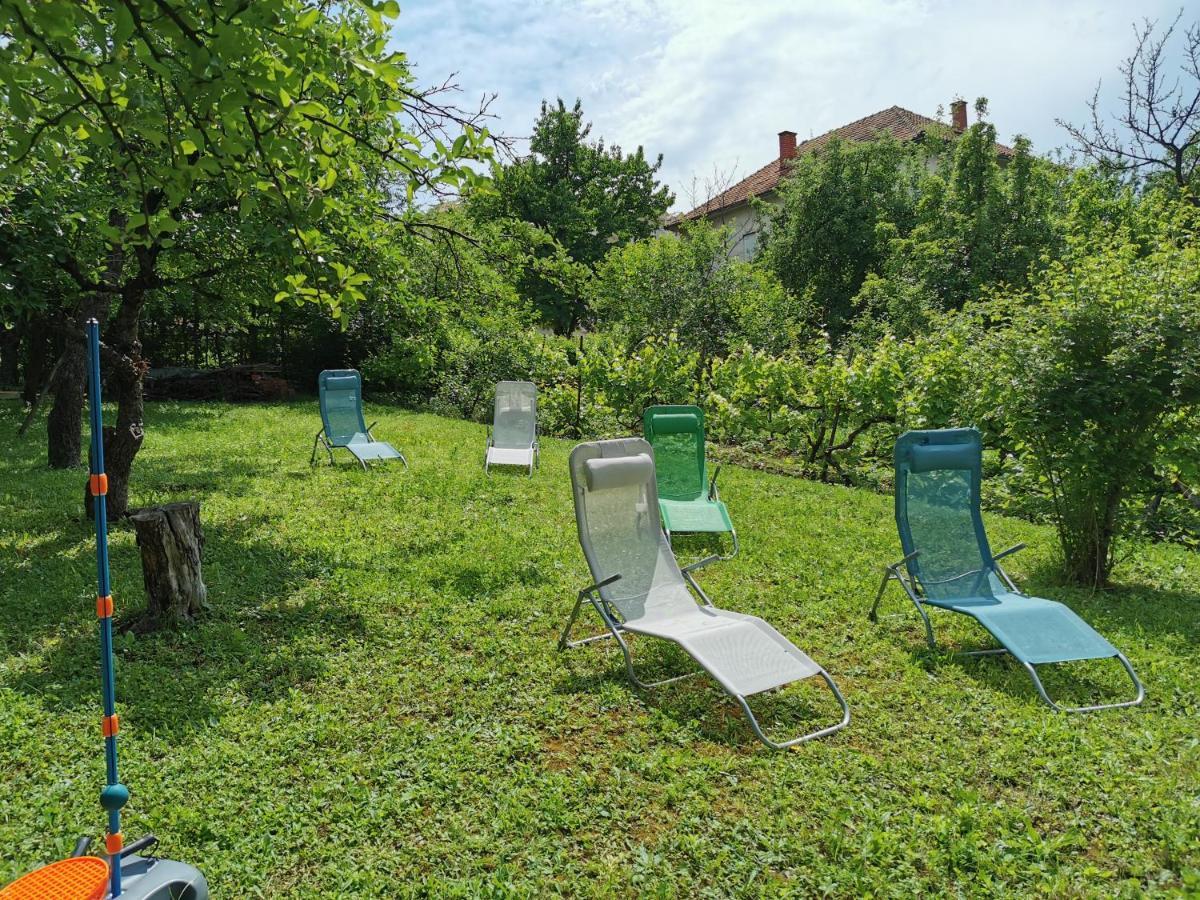 Vila Breza Sokobanja Exterior foto