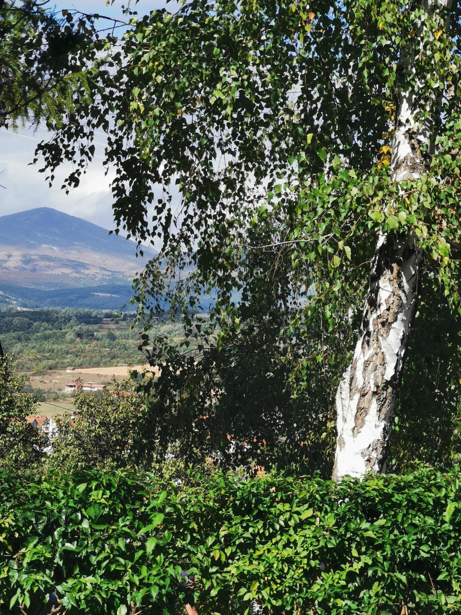 Vila Breza Sokobanja Zimmer foto